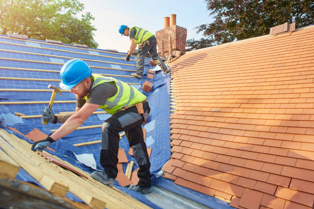 Best Metal Roofing Installation  in Wiggins, MS